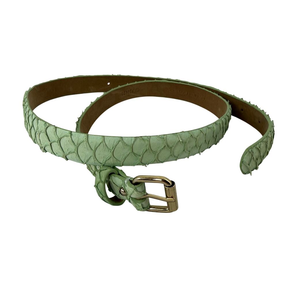 Ann Taylor Green Genuine Leather Textured Belt Size S